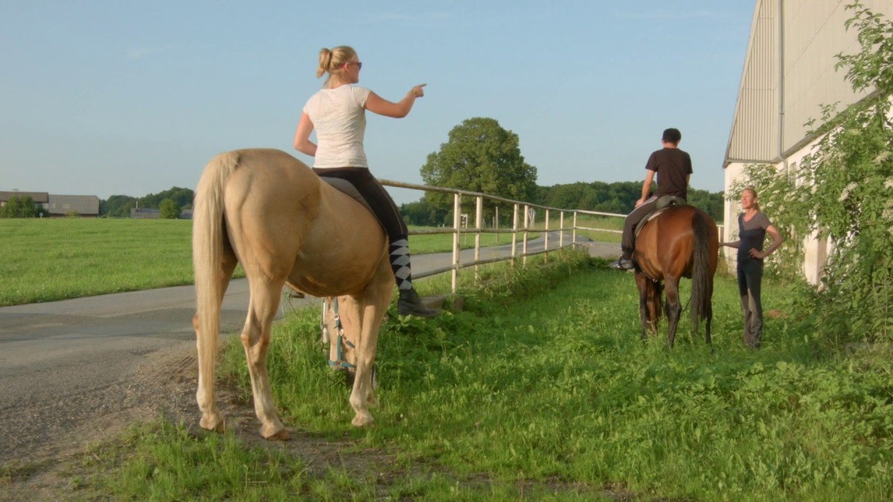 Wie wärs mal mit reiten? (Ali und Pferd Monika)